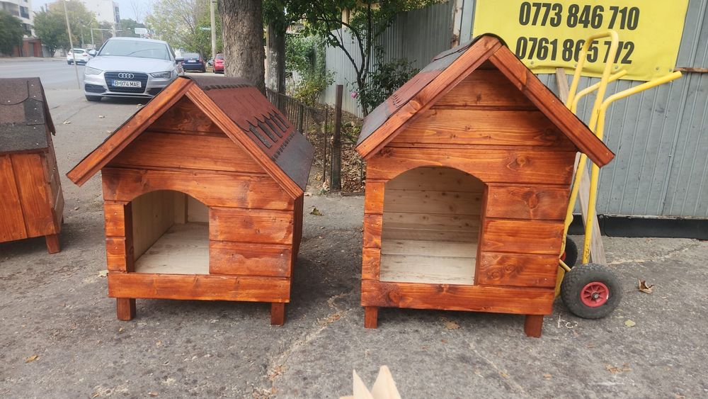 Coteț caine chitila