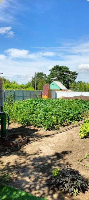 Продам дачный участок