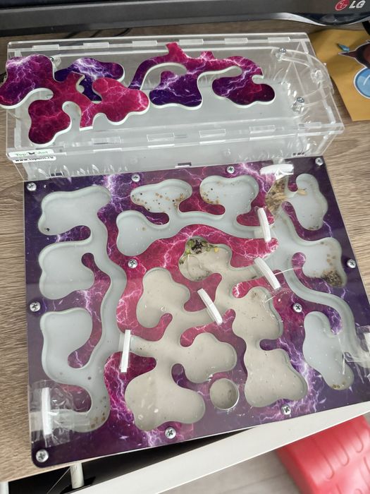 Муравьиная ферма