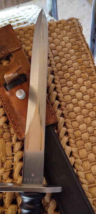 Швейцарски щик с лопус