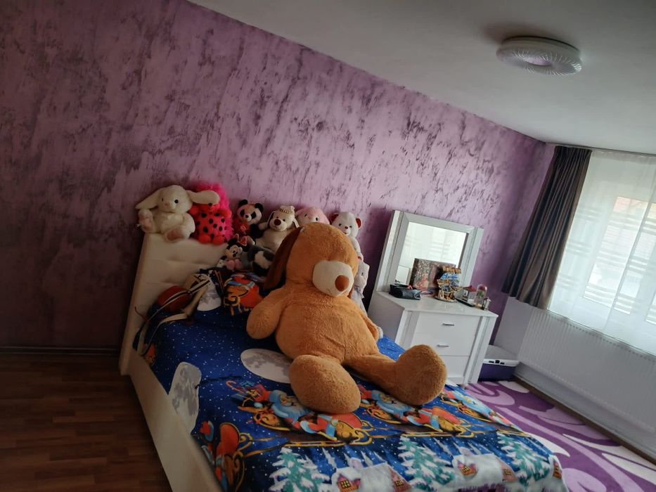 Casa de vanzare str.Şisesti