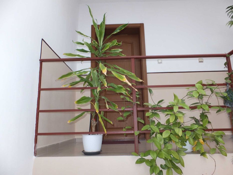 Fujifilm FinePix F770EXR 16 MPx