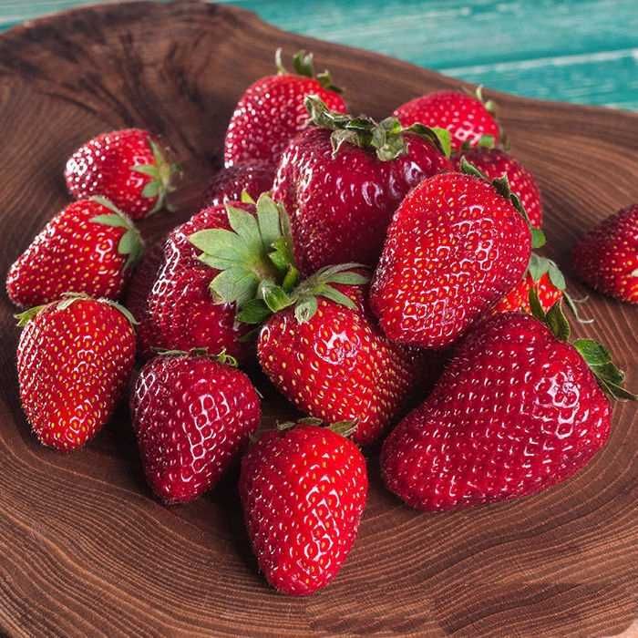 ВЕЛИКОЛЕПЕН БИО Разсад целогодишни Ягоди и Малини