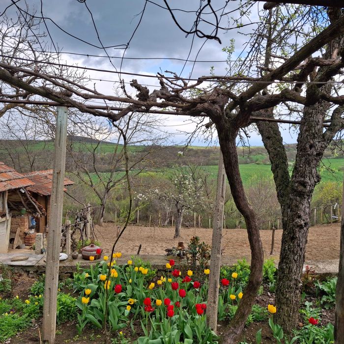 Продава се Къща в с. Сърцево, Област Сливен - 80 кв.м за 224 €/кв.м - Снимка #7