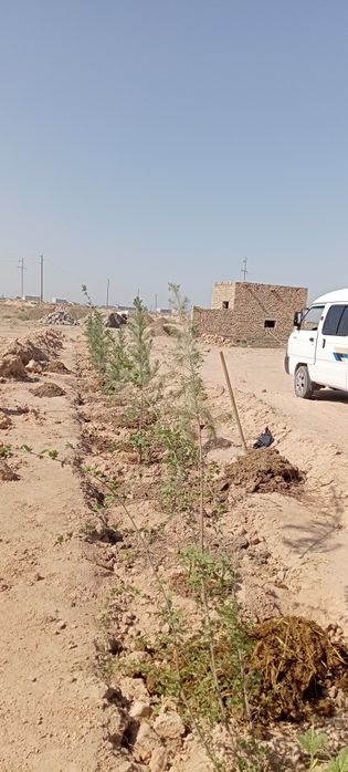 10 sotix no turar yer joy biznes uchun