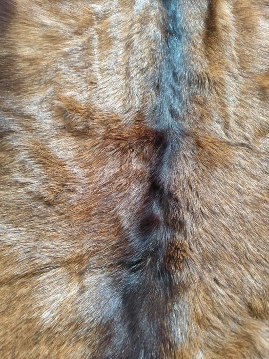 Кожа сърна килим