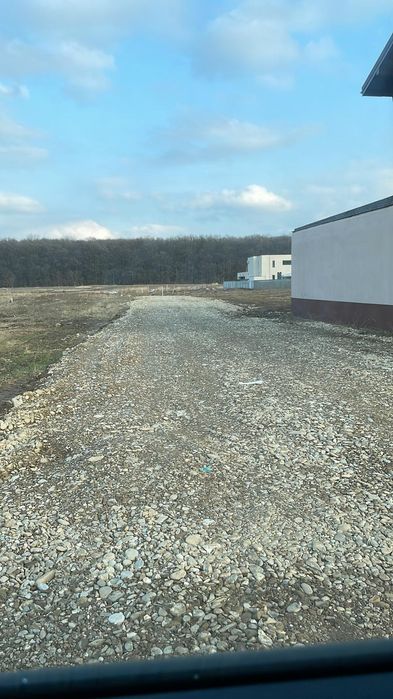 Vând teren voluntari Matei millo