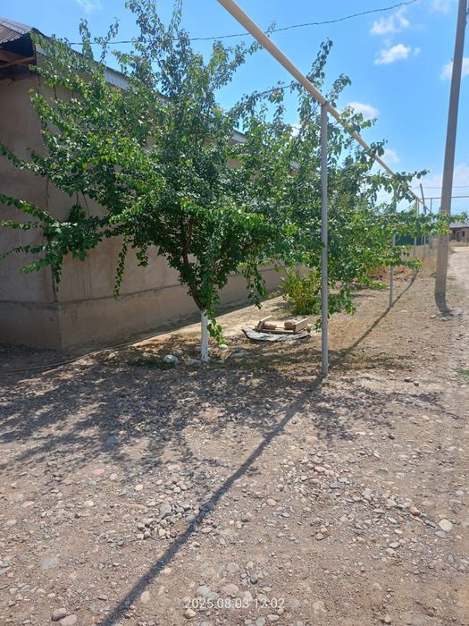 Большой уютный дом