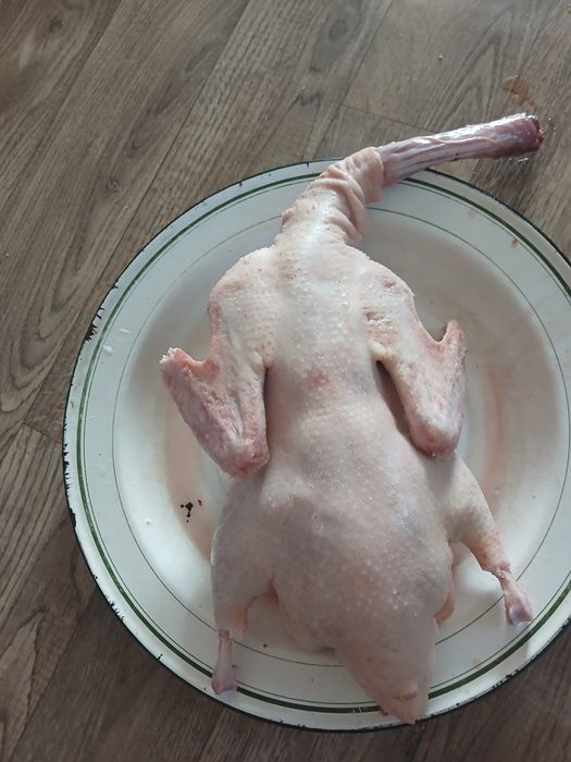 Продам домашних уток