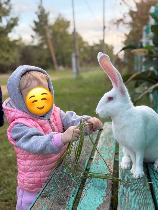 Жилетка на 1-2 года