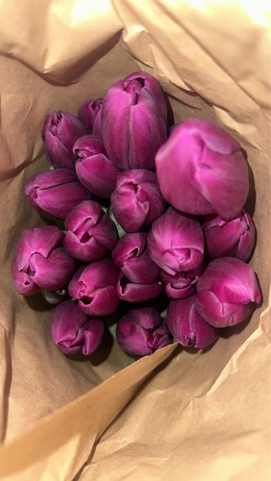 Тюльпаны в РОЗНИЦУ