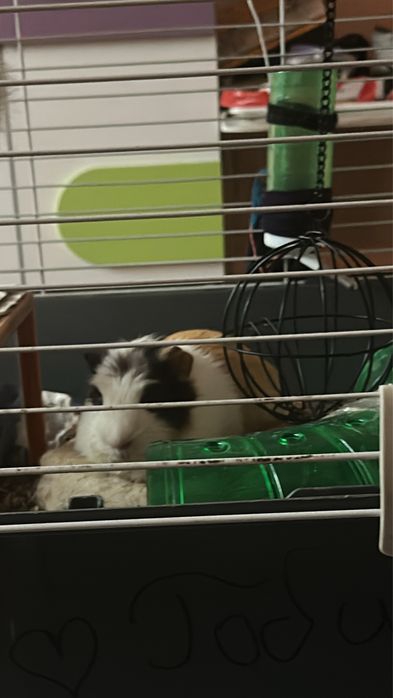 Продавам клетка за гризачи