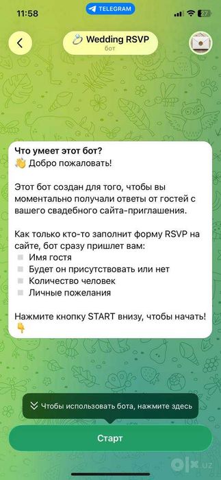 Telegram bot yaratish | Разработка ботов
