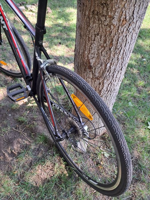 Cursiera giant rapid ghidon drept