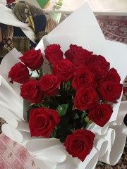 Цветы Голландский