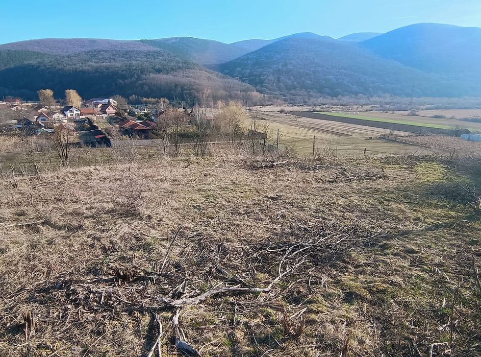 Teren de vanzare - loc. Sard - 1700 m2