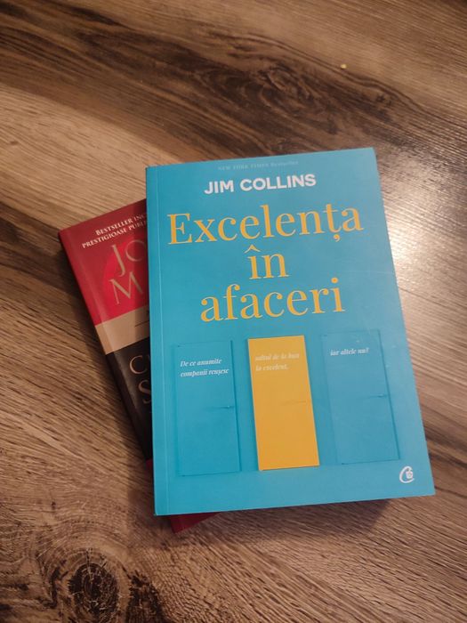 Excelenta in afaceri si Cele 21 de legi supreme ale liderului