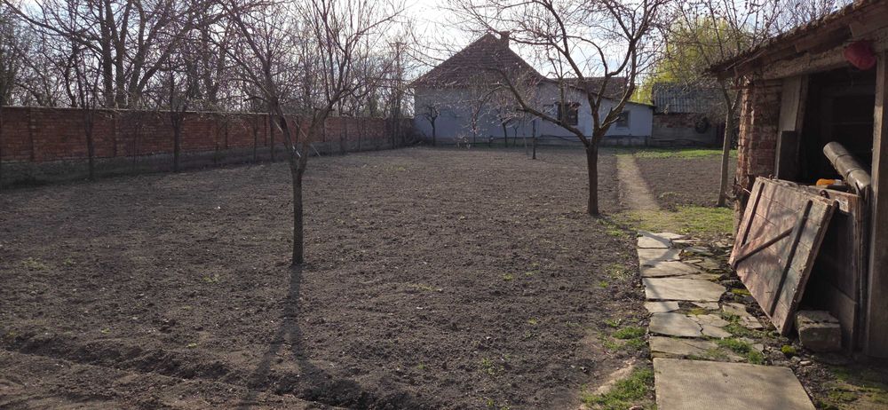 De vânzare casă în Gurba – Comuna Șicula | Teren generos 1430 mp