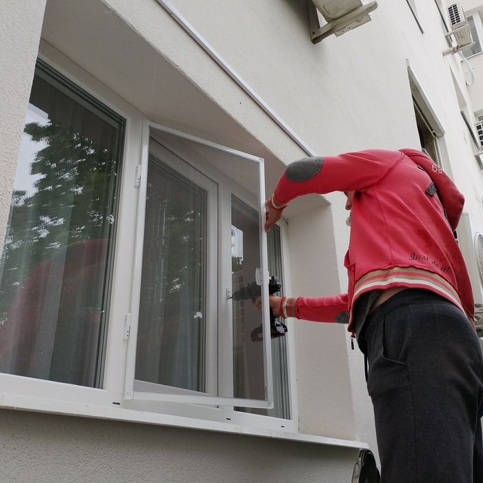 Plase/Site insecte Craiova