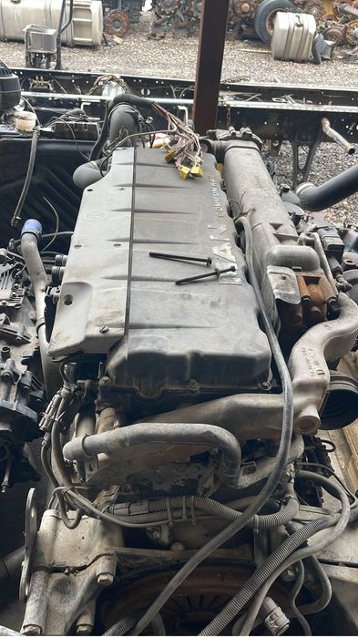 Даф Ман Волва Рено