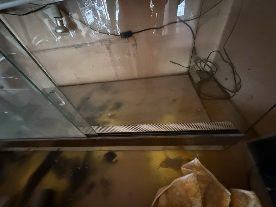 Терариум 100х50х50