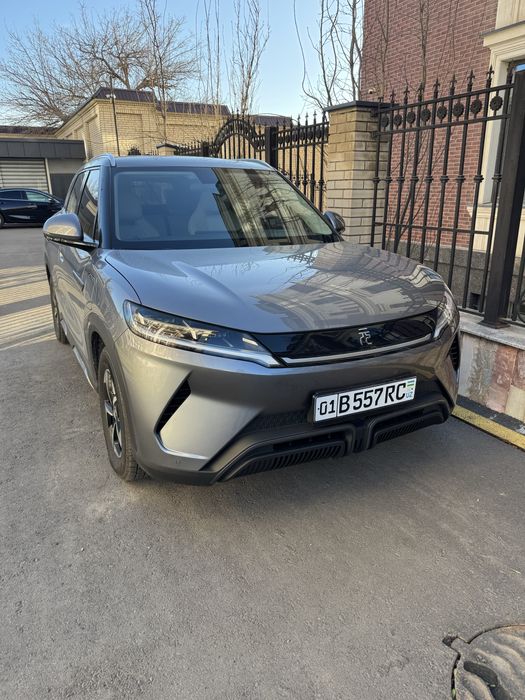 BYD yuan up 2024 года