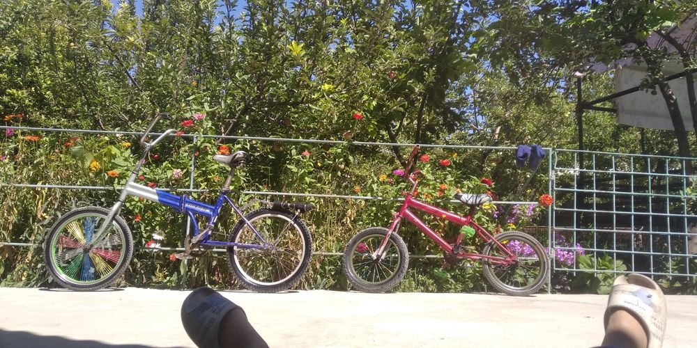 Гарантия жок бермеймин