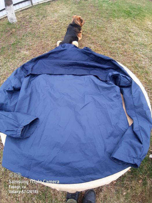 Pantaloni tactici barbati L