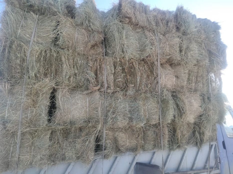 Сено в тюках, зерно и отруб