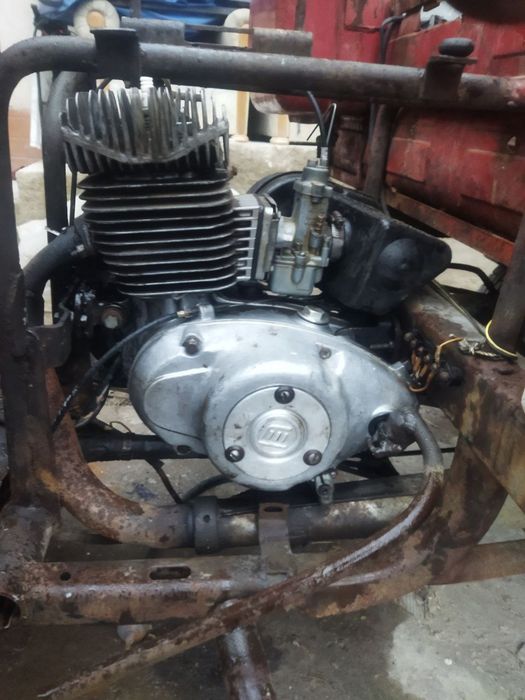 Rassiya muravey xolati yaxshi