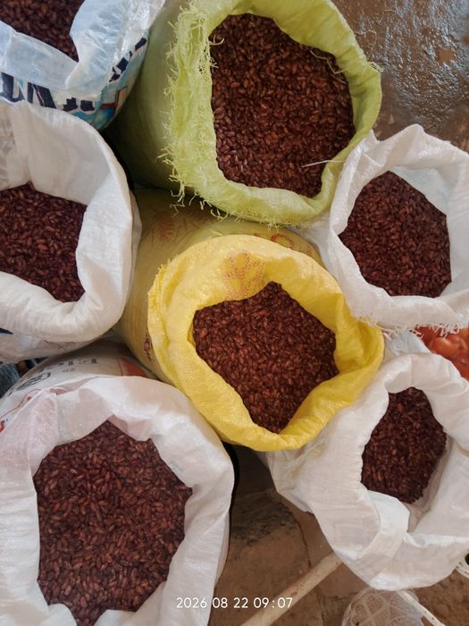 Qizil loviya sotiladi