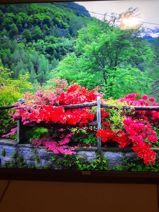 Телевизор Neo Led 23914