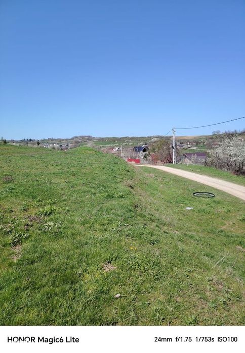 Teren 20 000 mp, deschidere 65 m, Șorogari, Aroneanu, Iasi