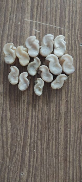 Лянга(Малик)Асықтар