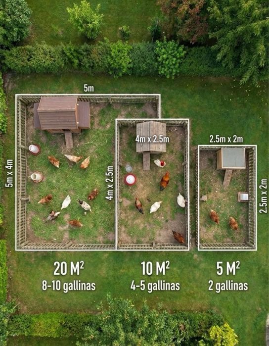 Курятник Тауыққора