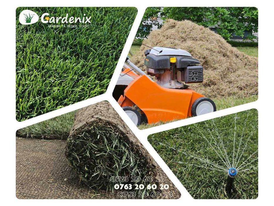 #Gardenix - Creăm Grădina Ta de Vis | Peisagistică și Amenajare Curți