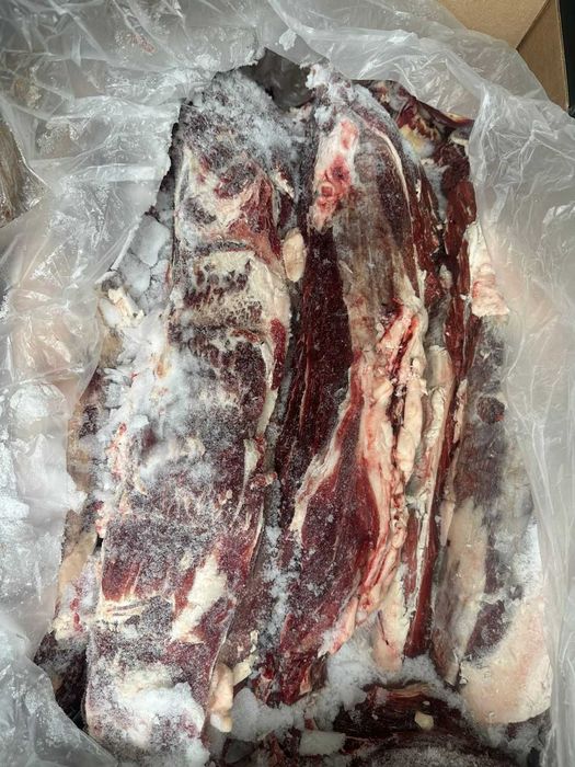 продаем вырезку (бон филе) высшего качества