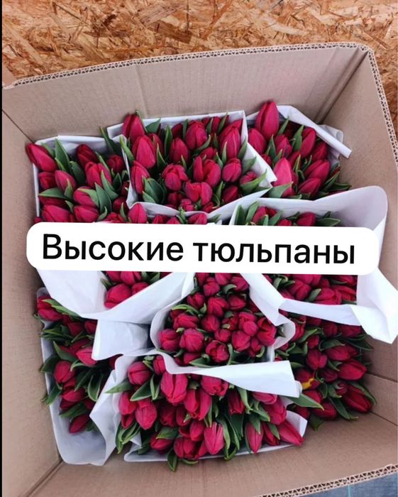 Тюльпаны для ваших близких