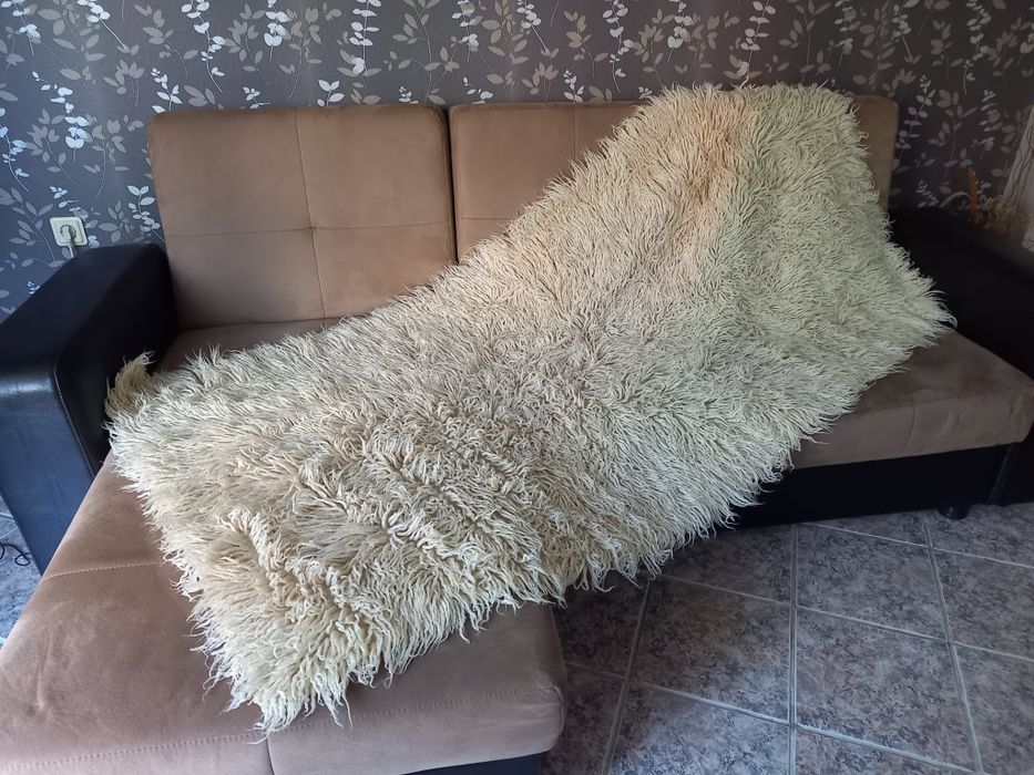 Китеник с дълъг косъм
