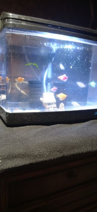 Заводской аквариум 15 литров