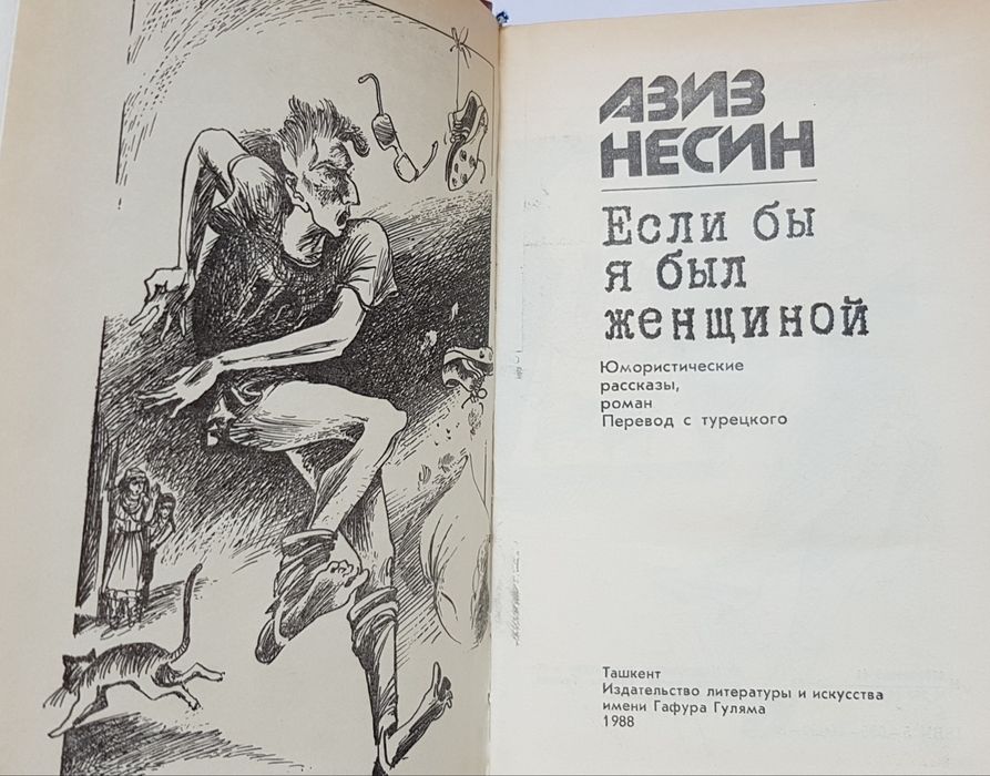 Книга Азиз Несин.