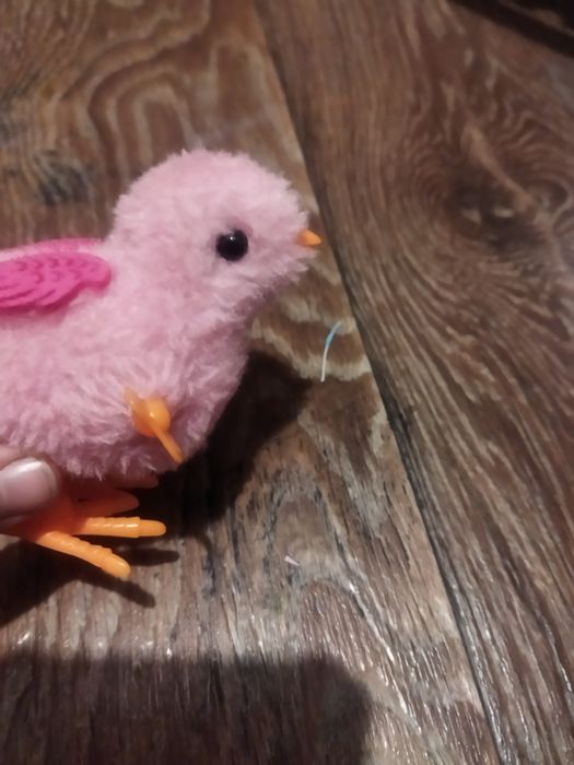 Заводной цыплёнок