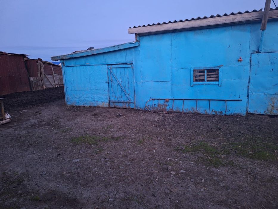 Продам дом и все остальное вместе  , есть торг