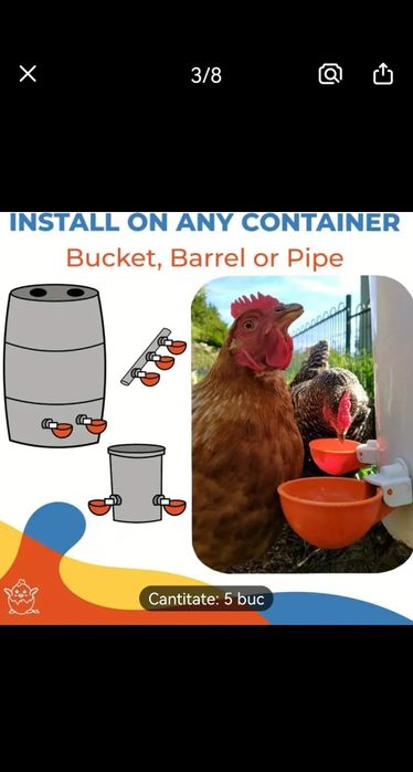 Adapatori apa automate  pentru pasari de curte