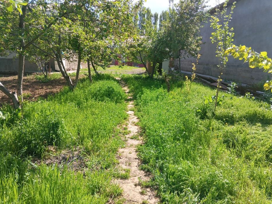 Xovli 4 sotik yuqori Chirchiq tumani