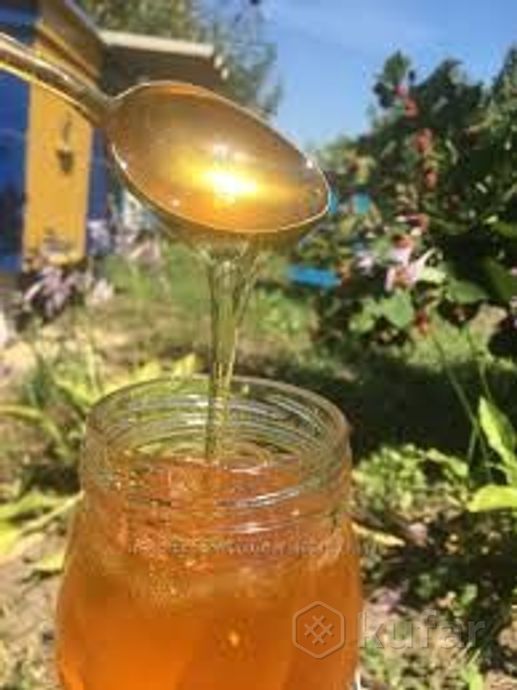 Продам горный мёд.