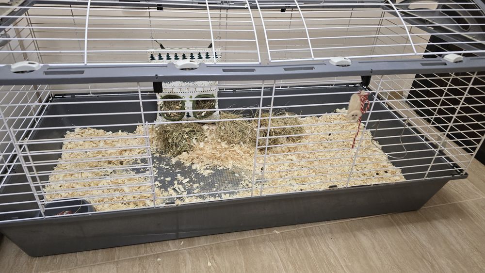 Продавам много голяма клетка за домашен любимец със всички аксесоари