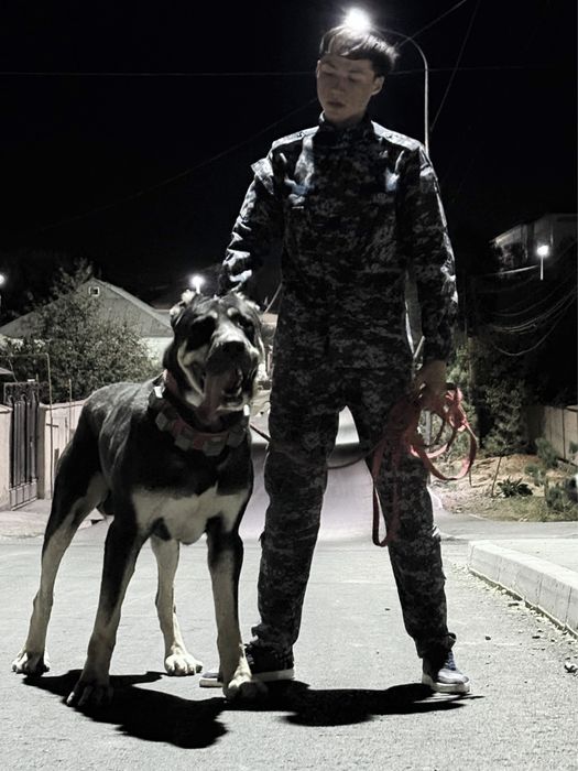 Алабай.Тобет.Қаранарский.Қазықы тобет