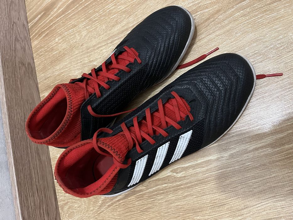 Сороконожки