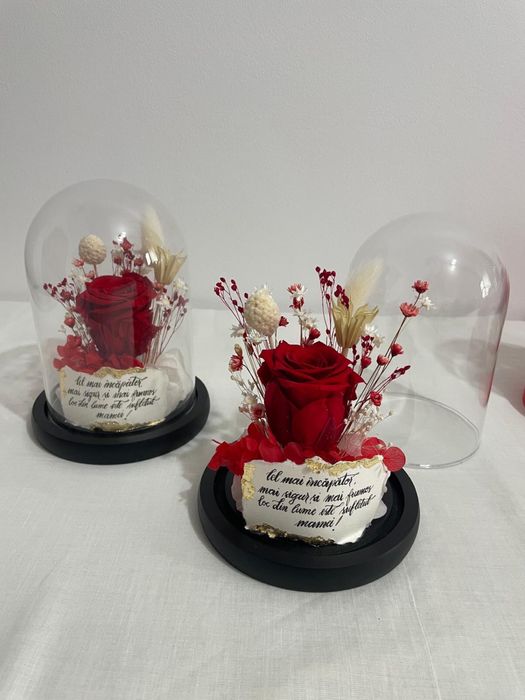 Cupola cu trandafir cirogenat